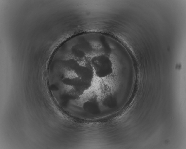 X0000090720721200708031500
