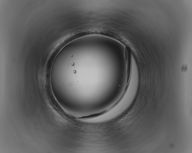 X0000090720722200708031500