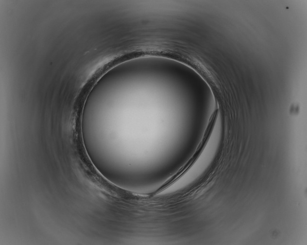 X0000090720723200708031500