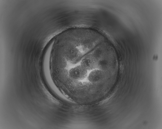 X0000090720725200708031500