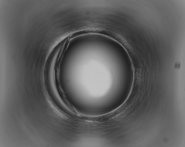X0000090720726200708031500