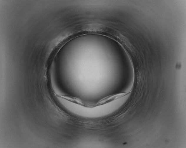X0000090720727200708031500