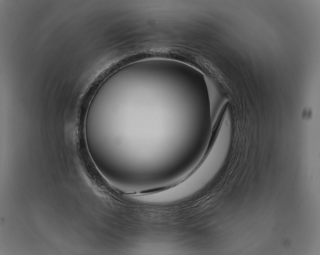 X0000090720728200708031500