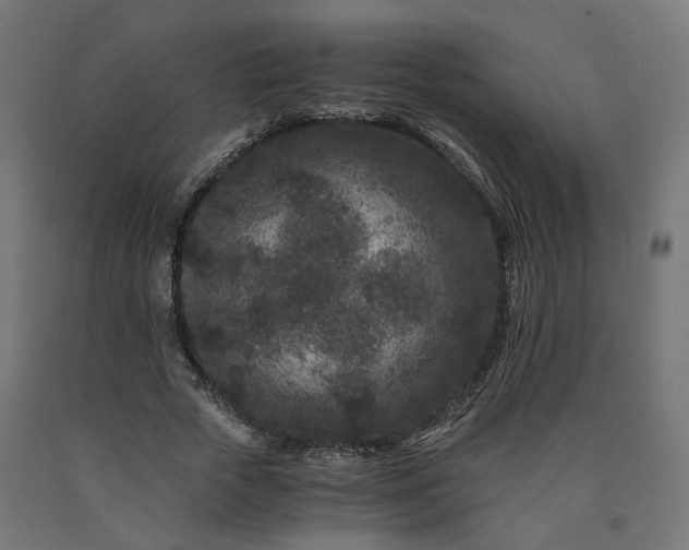 X0000090720729200708031500