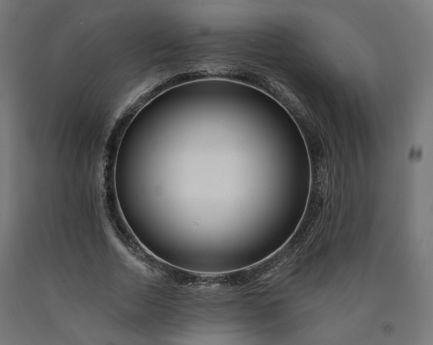 X0000090720730200708031500