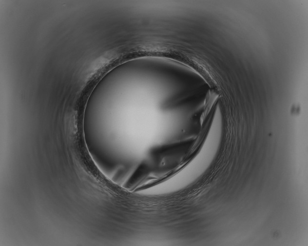 X0000090720731200708031500