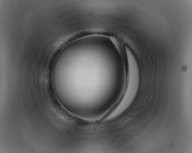 X0000090720732200708031500