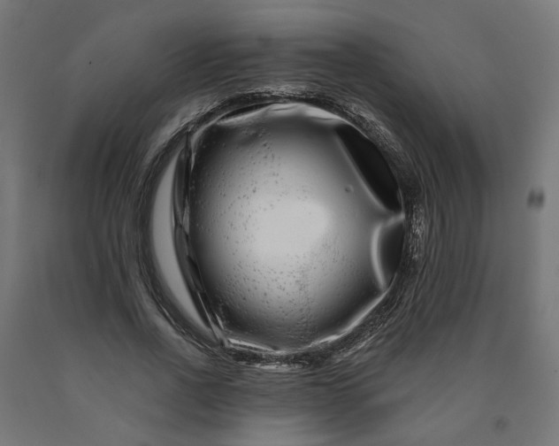 X0000090720734200708031500