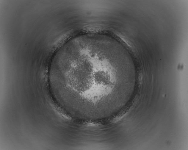 X0000090720737200708031500