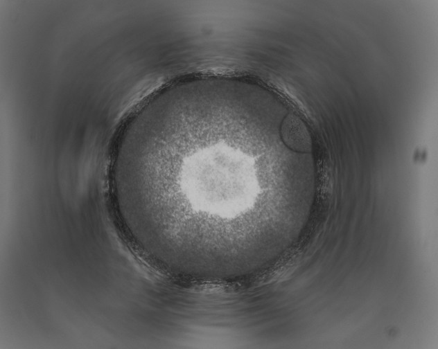 X0000090720738200708031500