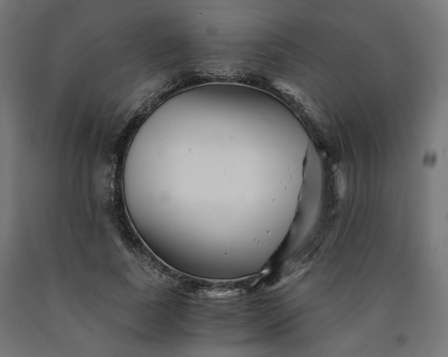 X0000090720739200708031500
