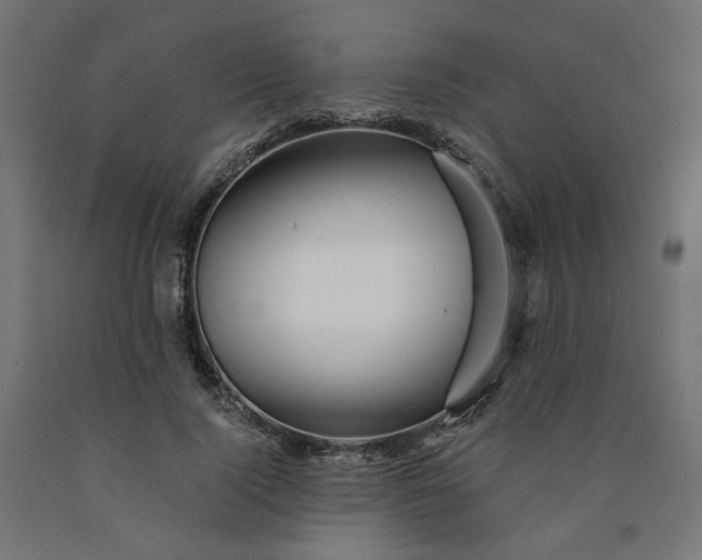 X0000090720740200708031500