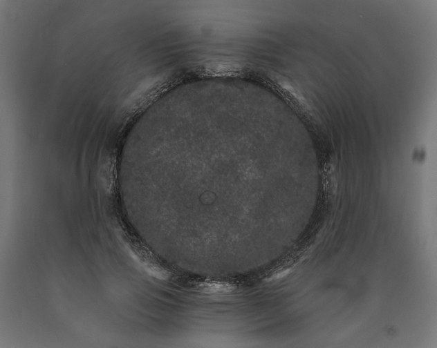 X0000090720741200708031500