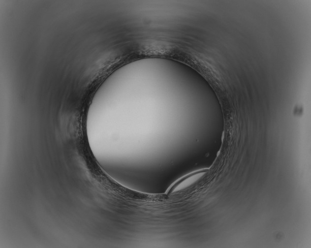 X0000090720743200708031500
