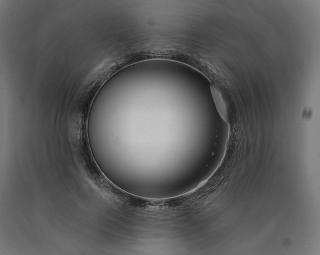 X0000090720744200708031500