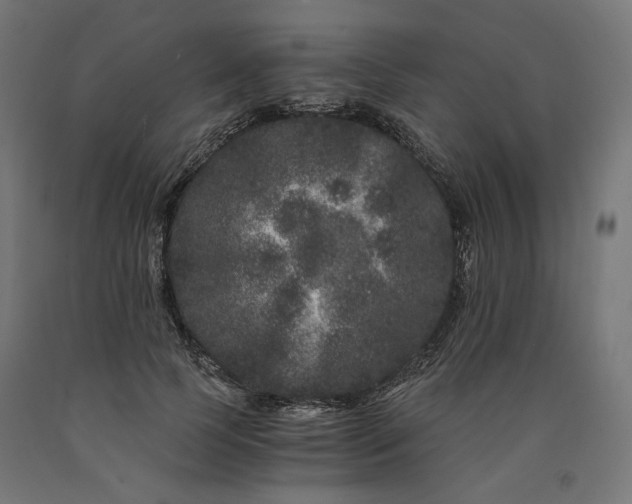 X0000090720745200708031500