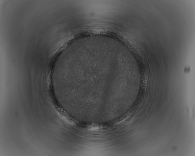 X0000090720746200708031500