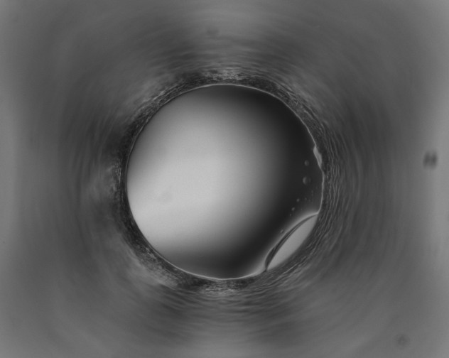 X0000090720747200708031500