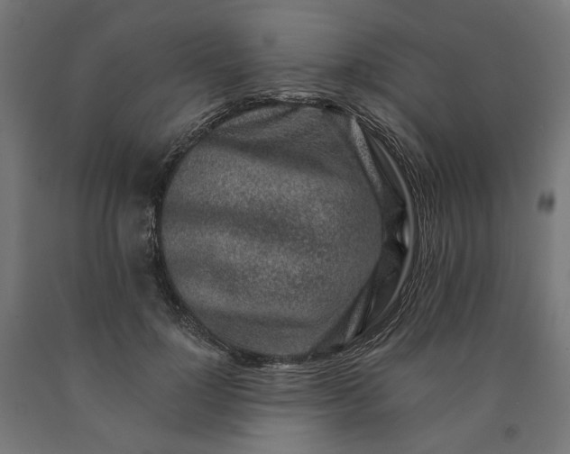X0000090720748200708031500