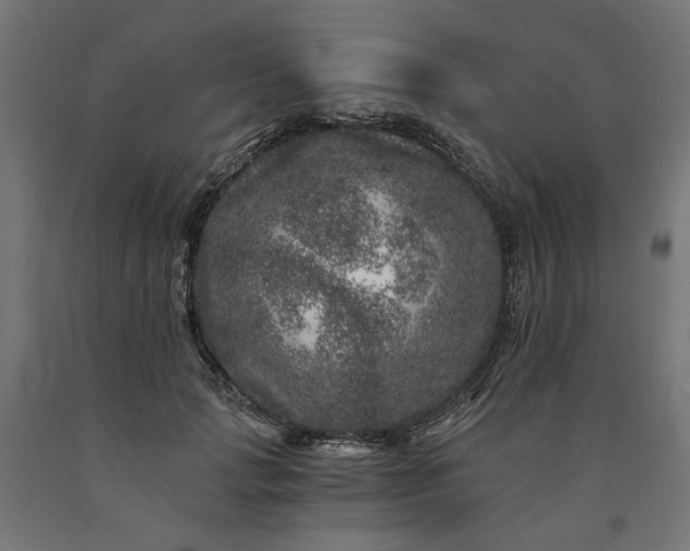 X0000090720749200708031500