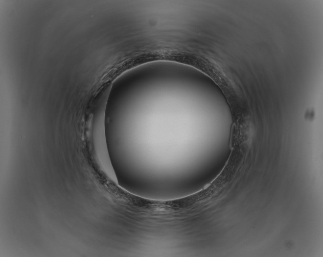 X0000090720750200708031500