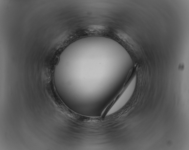 X0000090720751200708031500