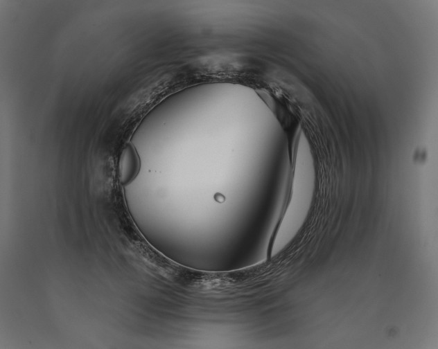 X0000090720752200708031500