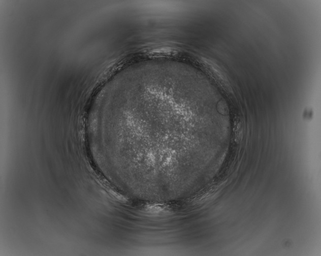 X0000090720753200708031500