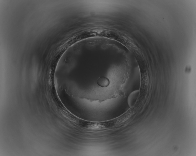 X0000090720754200708031500