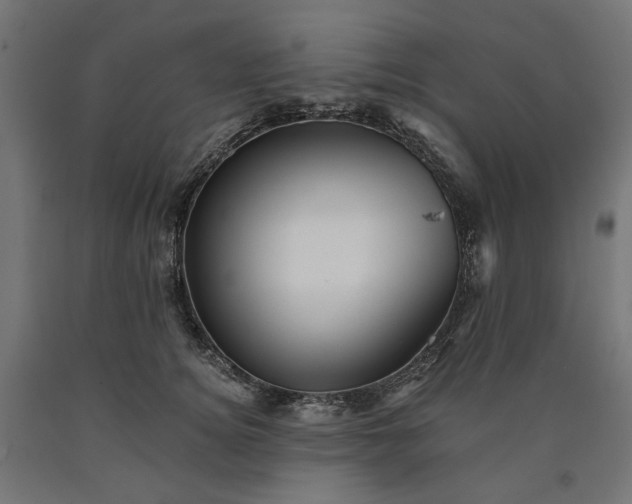 X0000090720756200708031500