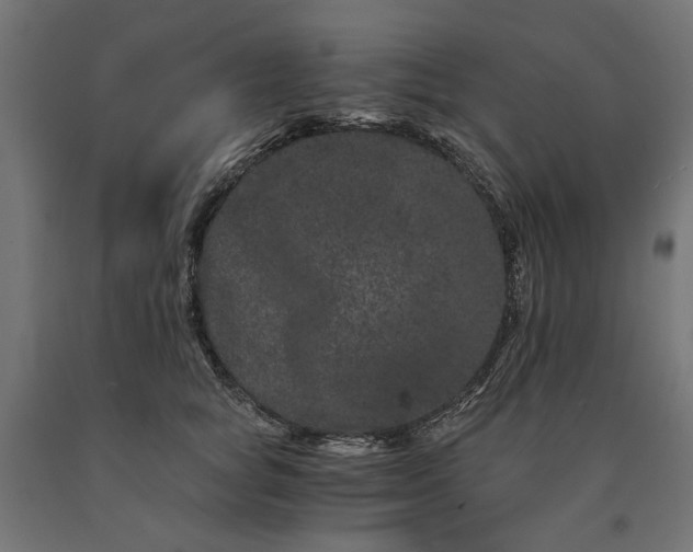 X0000090720757200708031500