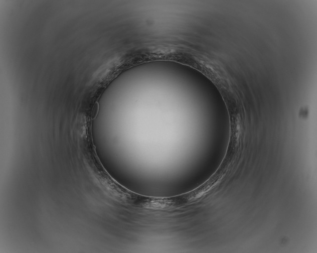 X0000090720758200708031500