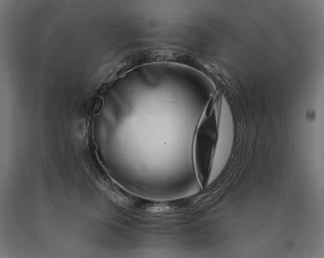 X0000090720759200708031500