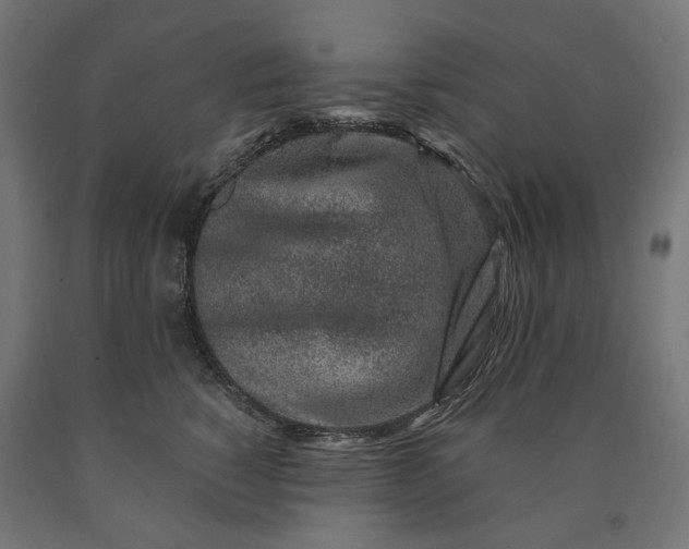 X0000090720760200708031500
