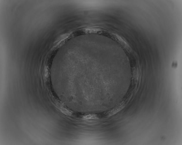X0000090720761200708031500