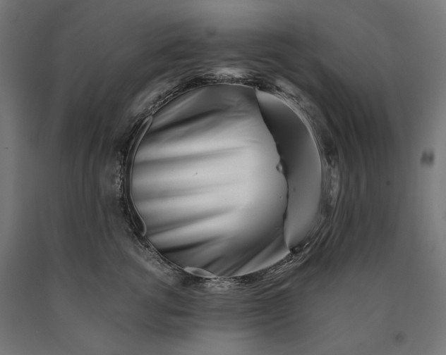 X0000090720762200708031500