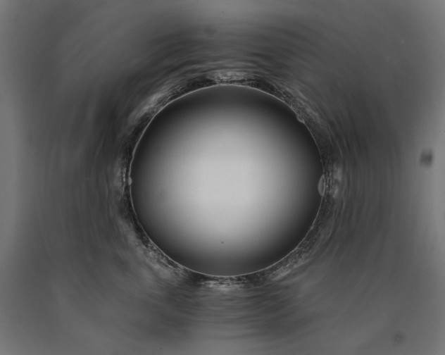 X0000090720763200708031500