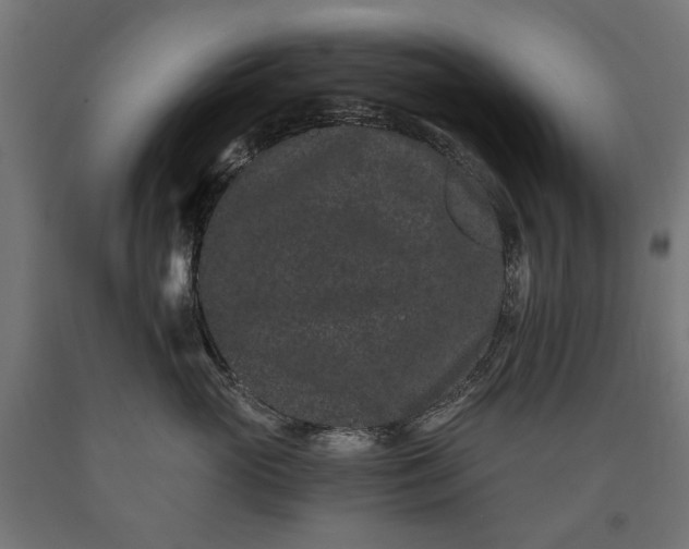 X0000090720765200708031500