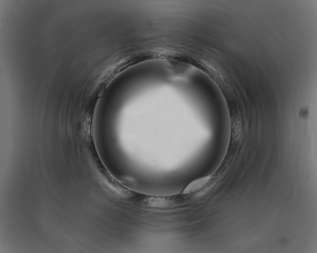 X0000090720766200708031500