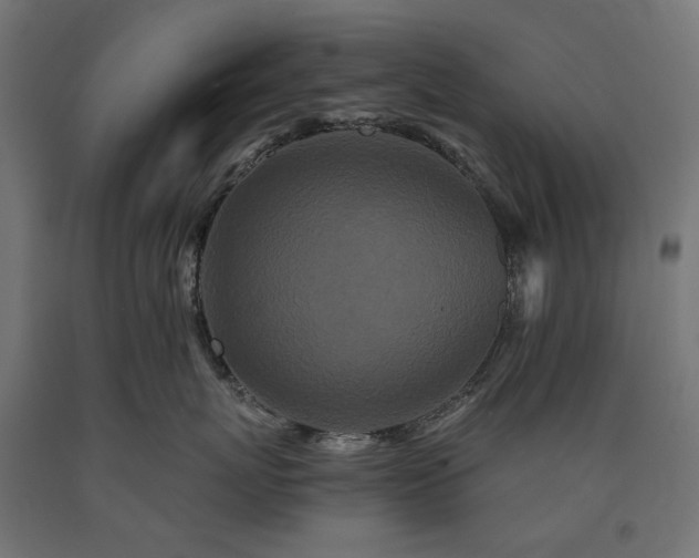 X0000090720767200708031500