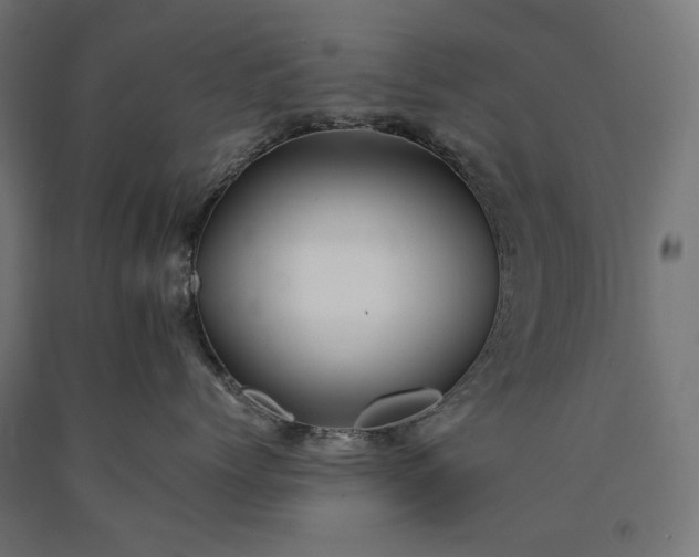 X0000090720768200708031500