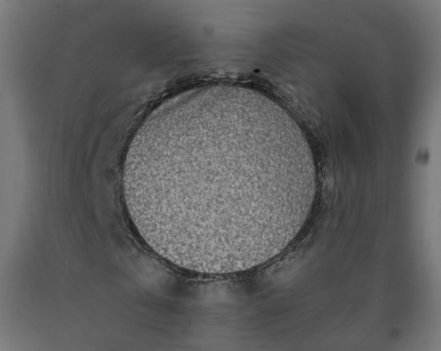 X0000090720769200708031500