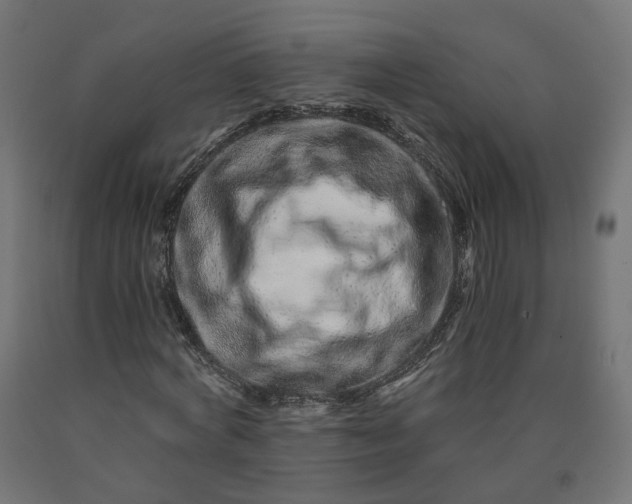 X0000090720772200708031500