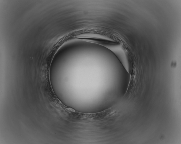 X0000090720773200708031500