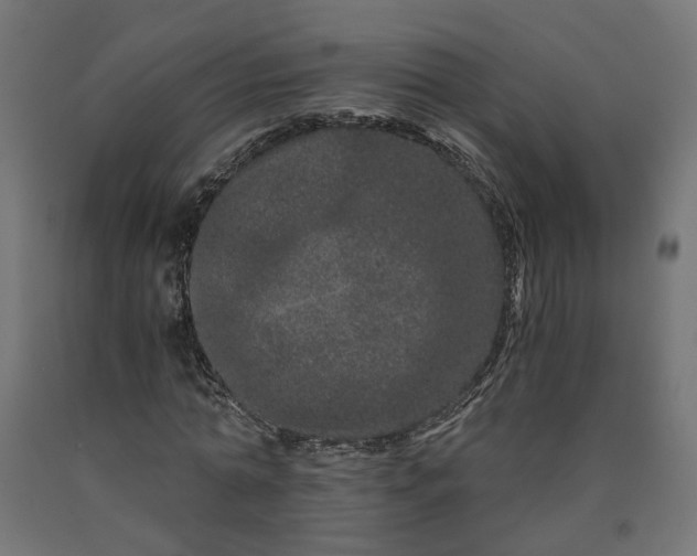 X0000090720774200708031500