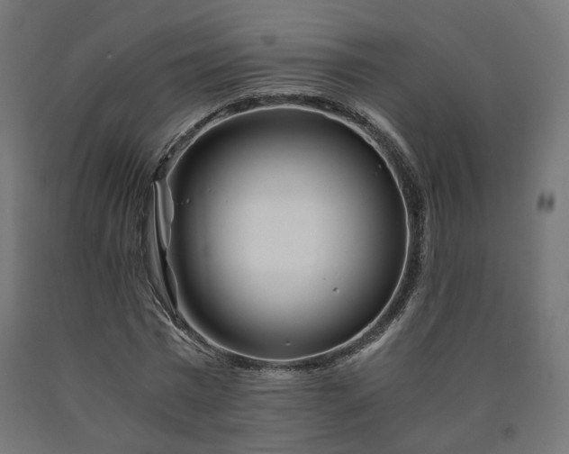 X0000090720777200708031500