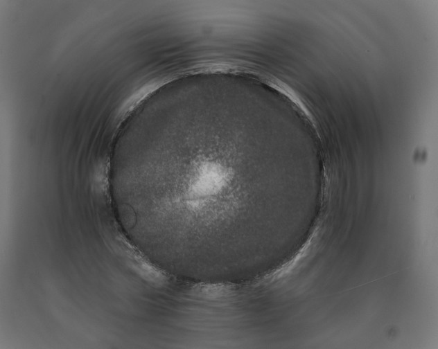 X0000090720778200708031500