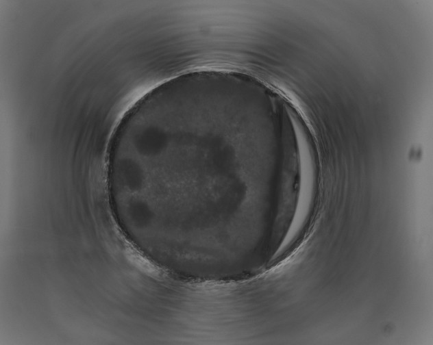 X0000090720779200708031500