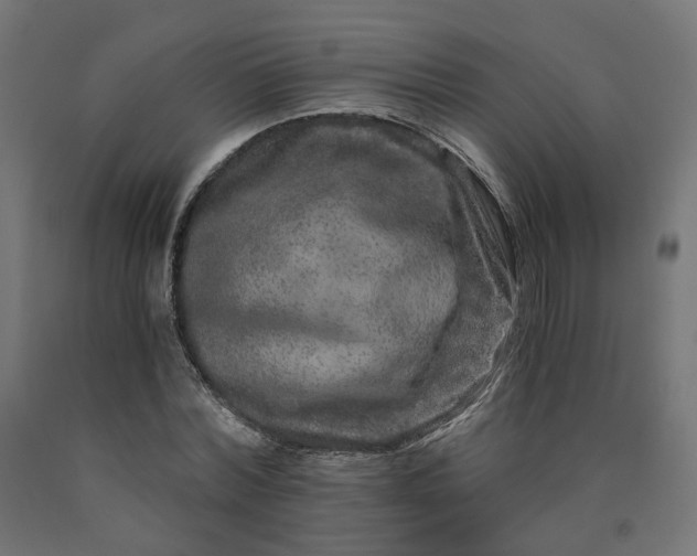 X0000090720780200708031500