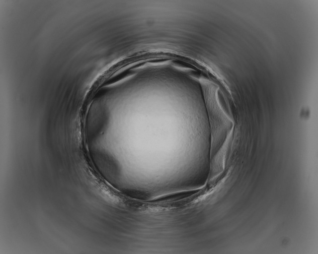 X0000090720782200708031500